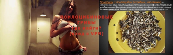 MDMA Няндома