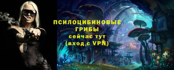 MDMA Няндома