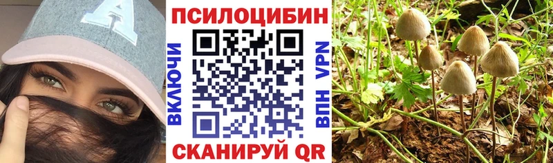 Галлюциногенные грибы Psilocybine cubensis  Губкинский 