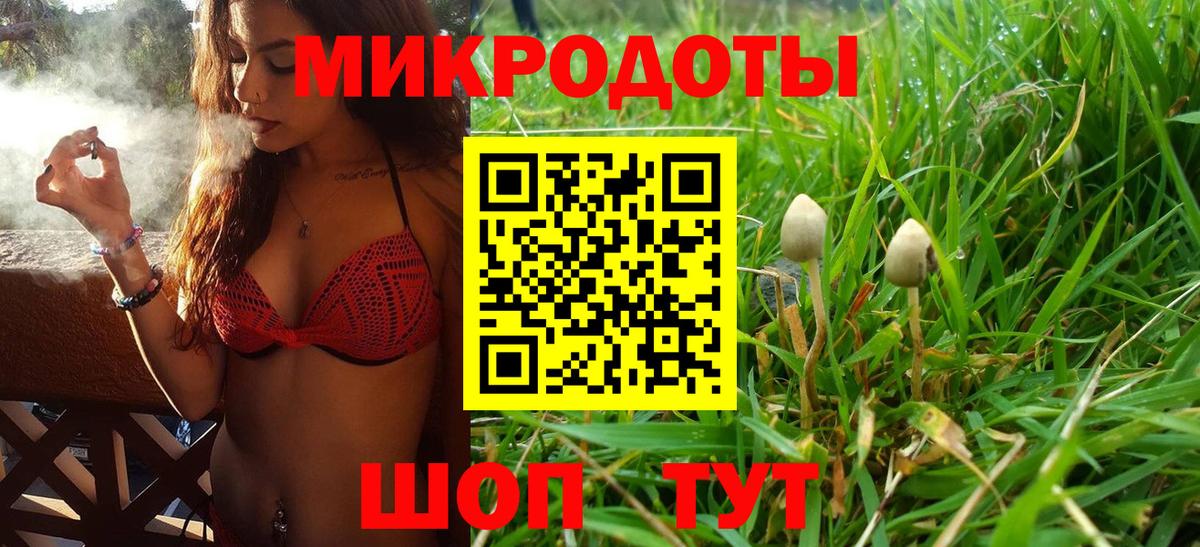  COCAIN Губкинский