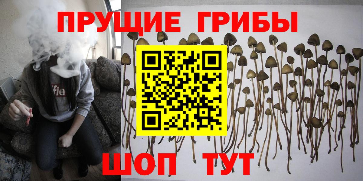Галлюциногенные грибы MAGIC MUSHROOMS  купить  цена  Губкинский  Вход с VPN 