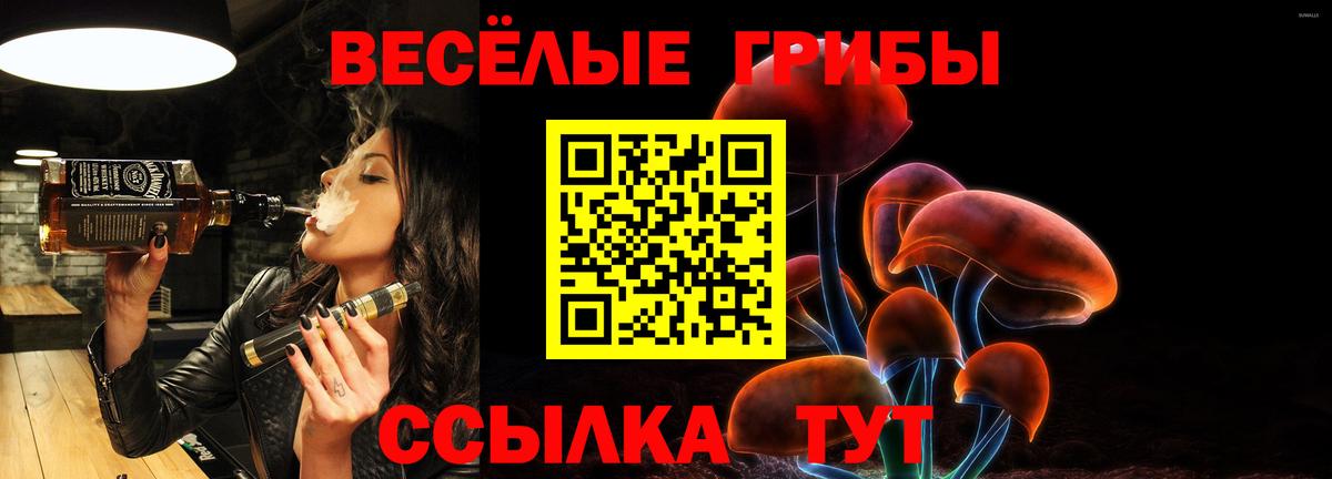 Псилоцибиновые грибы Magic Shrooms  Псилоцибиновые грибы Psilocybine cubensis  Губкинский 