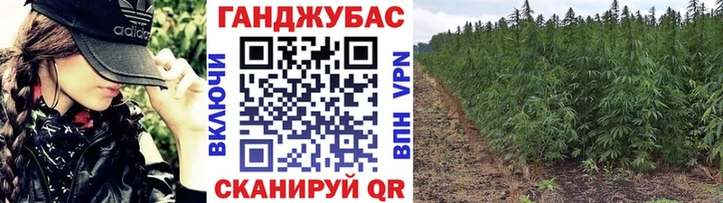 Каннабис конопля  Губкинский 